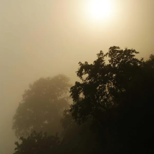 Produit La Lettre Image